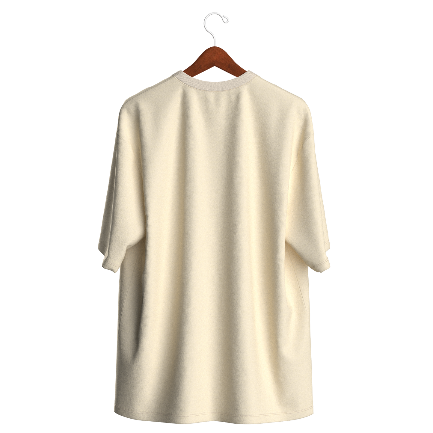 Short shirt 2